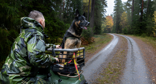 La Svezia Distribuisce Opuscoli su Come Comportarsi in Caso di Guerra